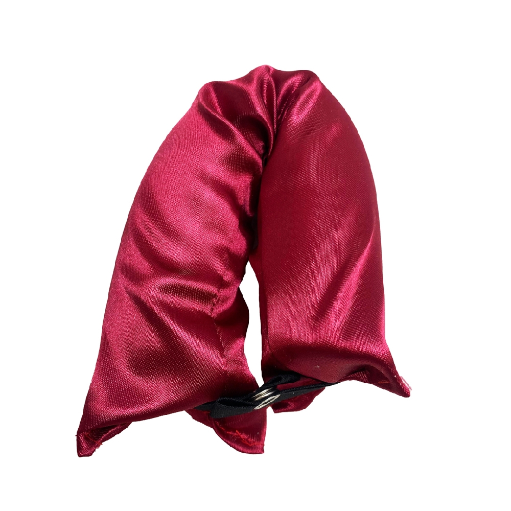 BANDA PARA RULOS CON BROCHE | Vista 2