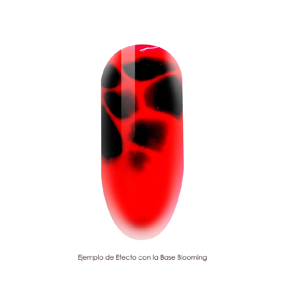 BOMPASSY BASE BLOOMING 15 ML | Vista 2