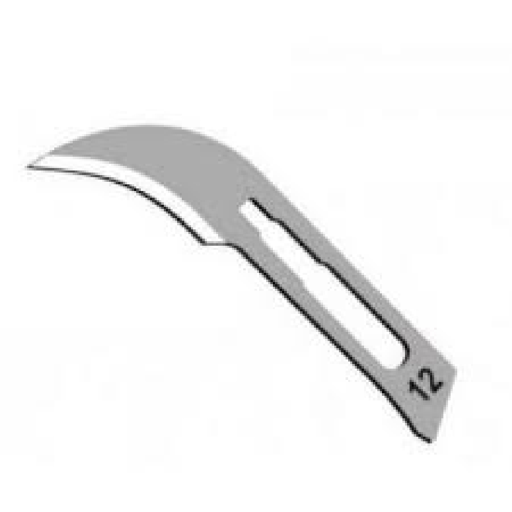 H21012 HOJAS DE BISTURI CHINAS X 100 n&ordm;12