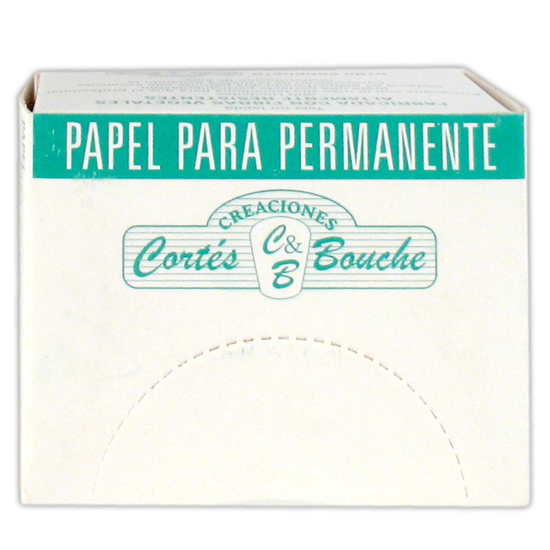 P00300 PAPEL P/PERMANENTE x 300