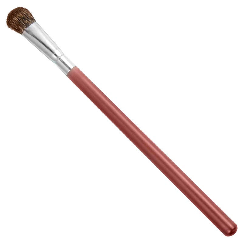 P05808 PINCEL PROF PELO ARDILLA