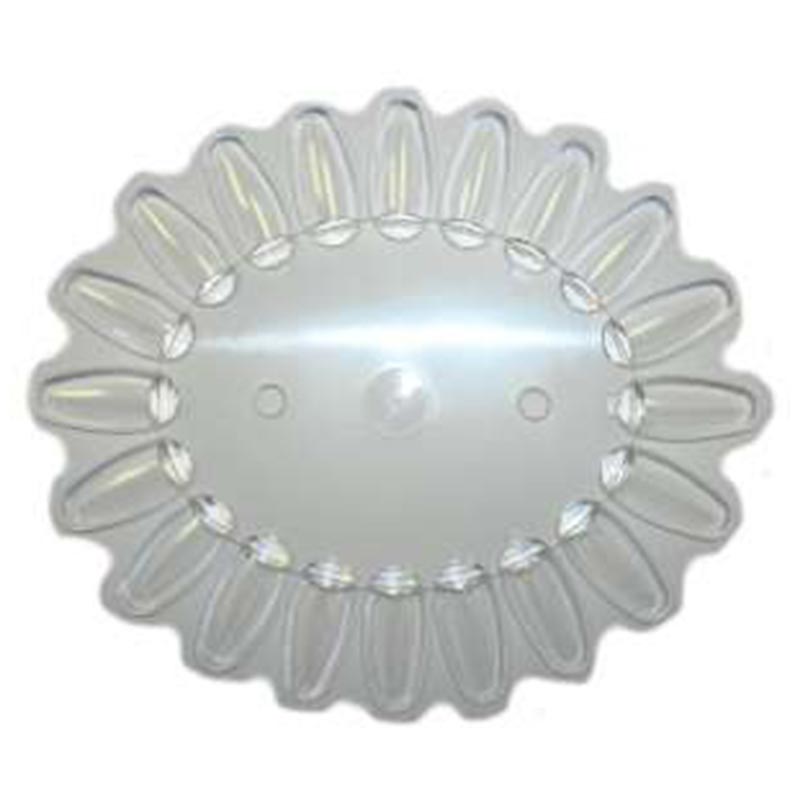 U00070 U&Ntilde;ERO X 20 U&Ntilde;AS OVALADO