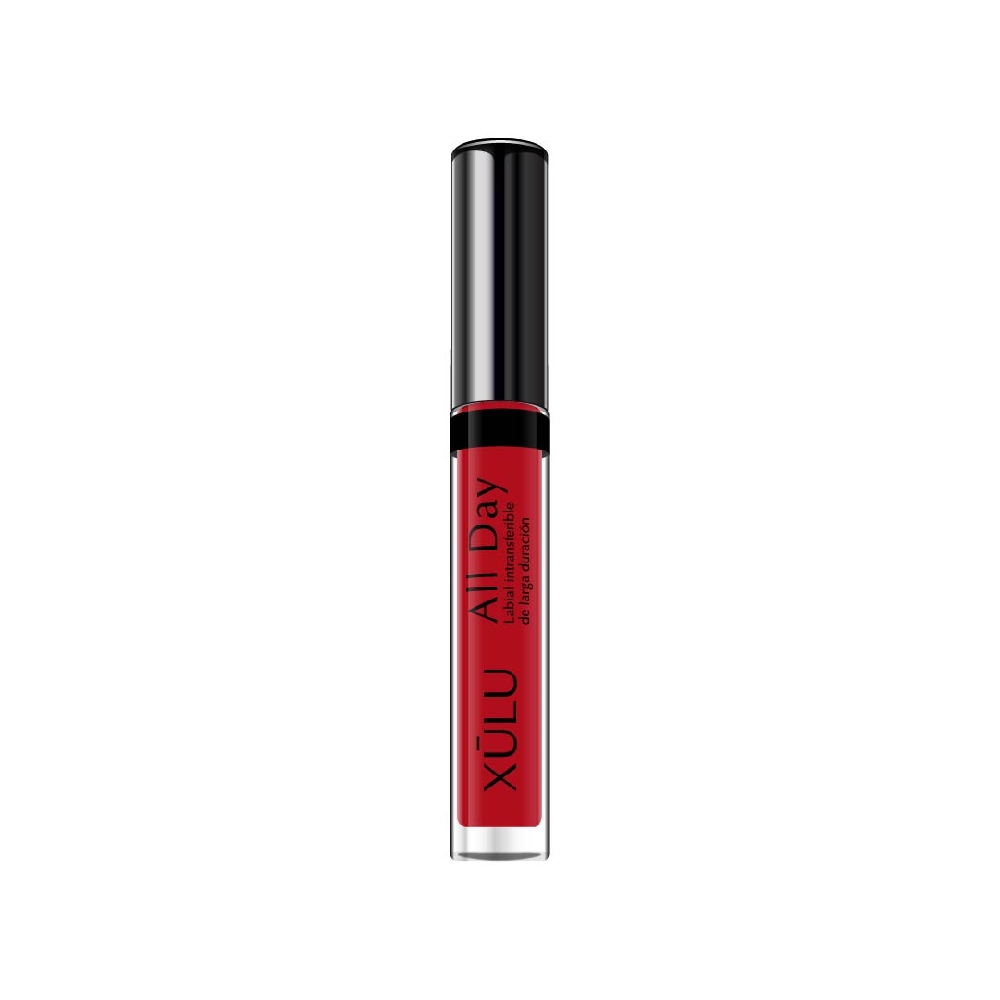 Z24901 LABIAL LARGA DURACION ALL DAY N*1 ROJO