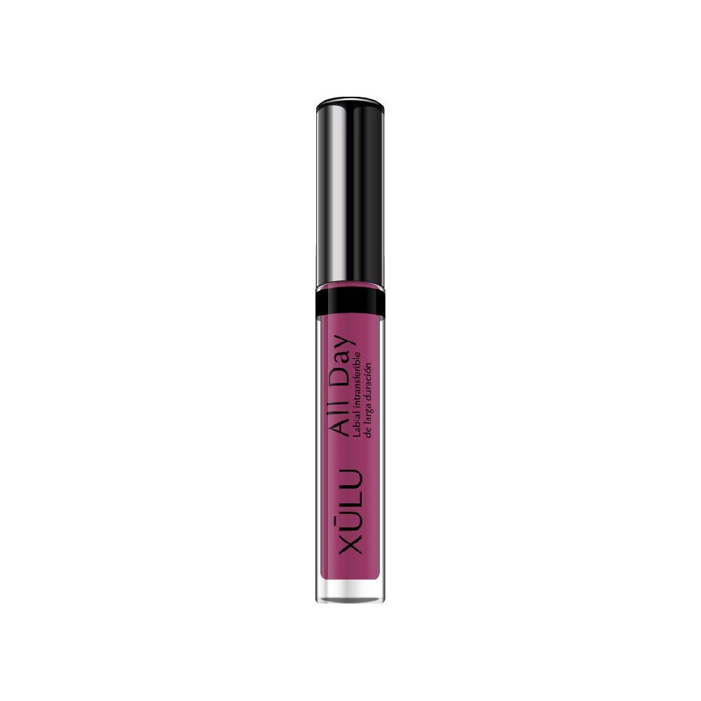 Z24916 LABIAL LARGA DURACION ALL DAY N*16 CIRUELA