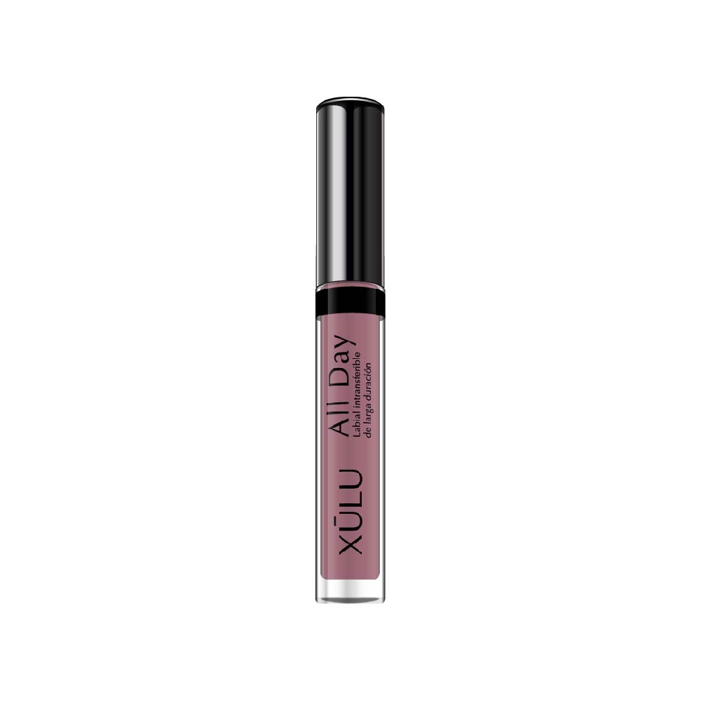 Z24917 LABIAL LARGA DURACION ALL DAY N*17 Avellana